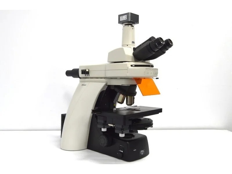 Nikon Eclipse Ni-U Upright Fluorescence Phase Contrast Microscope with Motorized Stage (New Filters)