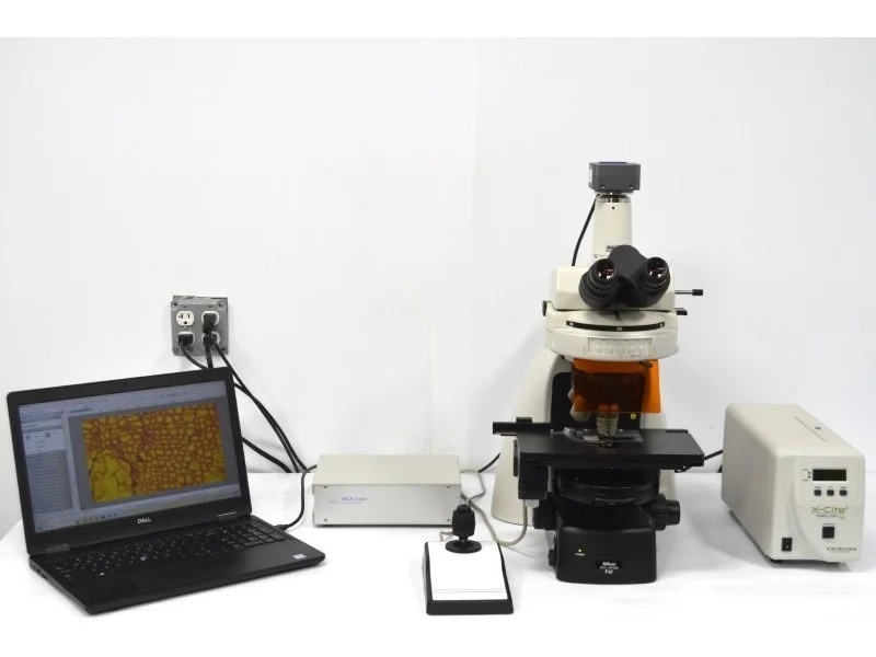 Nikon Eclipse Ni-U Upright Fluorescence Phase Contrast Microscope with Motorized Stage (New Filters)