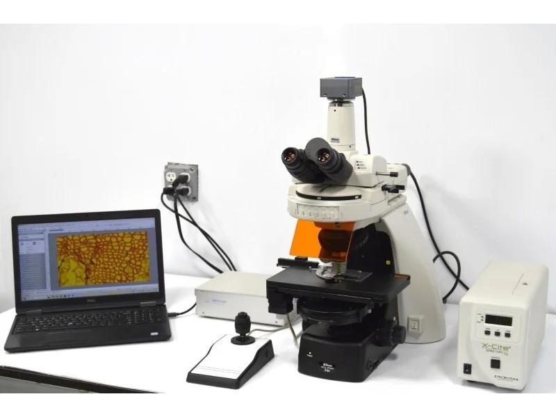 Nikon Eclipse Ni-U Upright Fluorescence Phase Contrast Microscope with Motorized Stage (New Filters)