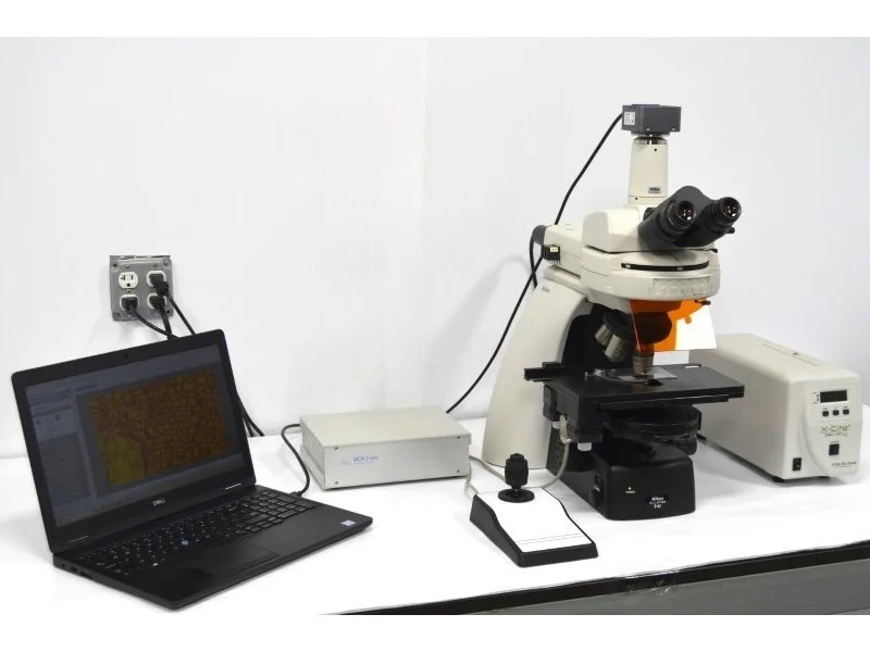 Nikon Eclipse Ni-U Upright Fluorescence Phase Contrast Microscope with Motorized Stage (New Filters)