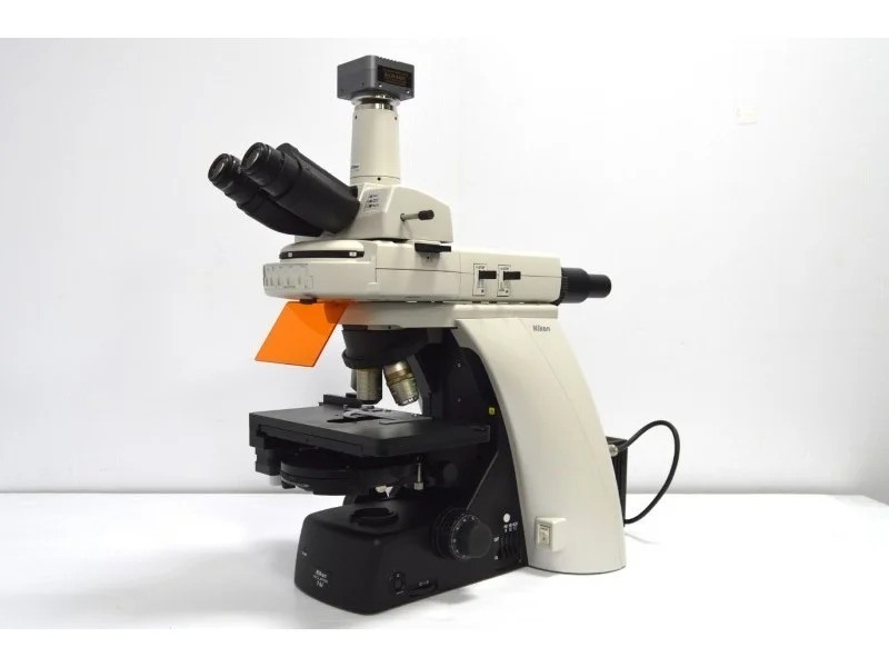 Nikon Eclipse Ni-U Upright Fluorescence Phase Contrast Microscope with Motorized Stage (New Filters)