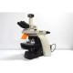 Nikon Eclipse Ni-U Upright Fluorescence Phase Contrast Microscope with Motorized Stage (New Filters)