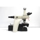 Nikon Eclipse Ni-U Upright Fluorescence Phase Contrast Microscope with Motorized Stage (New Filters)